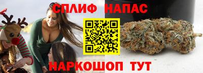 стаф Кандалакша
