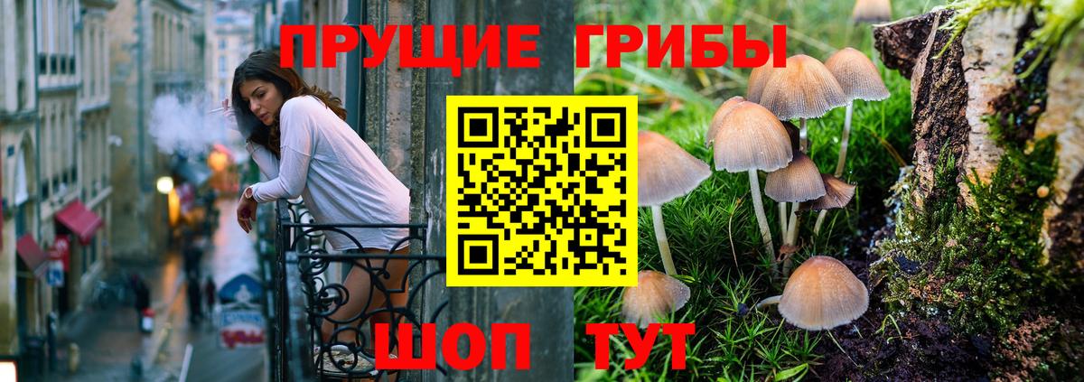 Галлюциногенные грибы GOLDEN TEACHER  Вход с VPN  Новочеркасск 